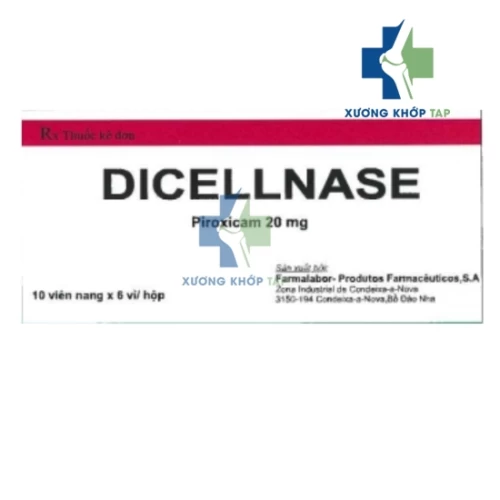 Dicellnase